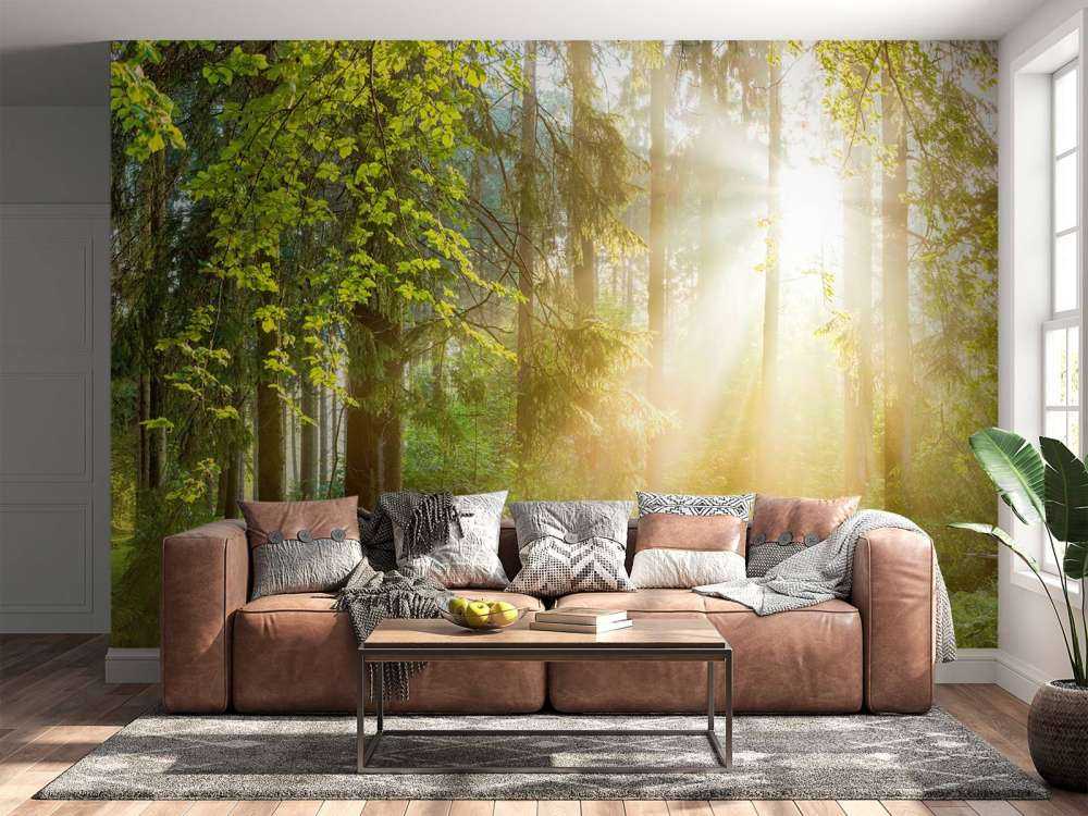 Skovlandskab ved solopgang