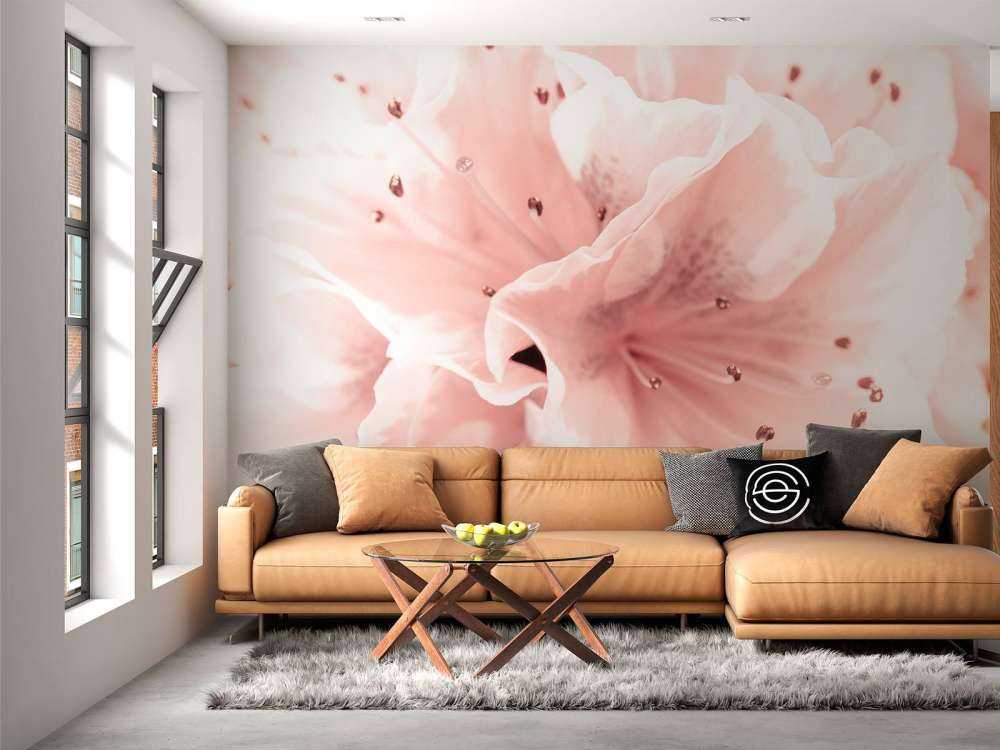 Azalea blomst