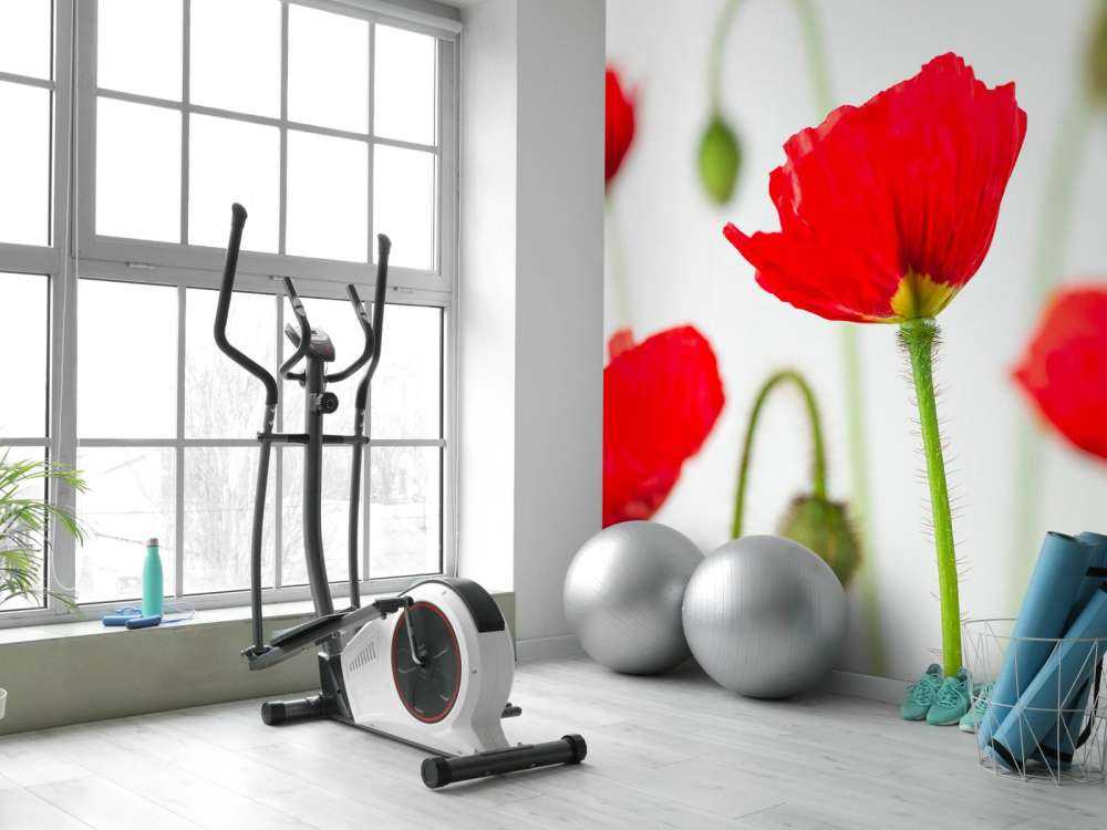 Nærbillede af røde valmuer