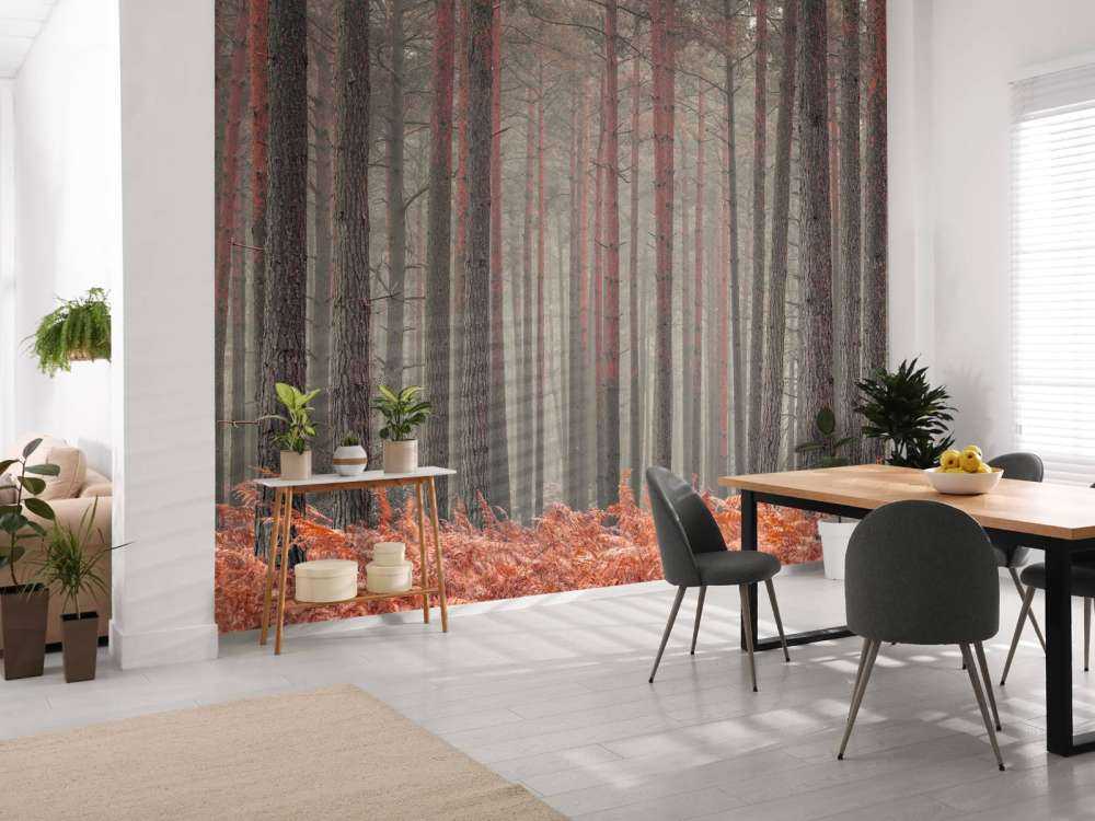 Træer om efteråret