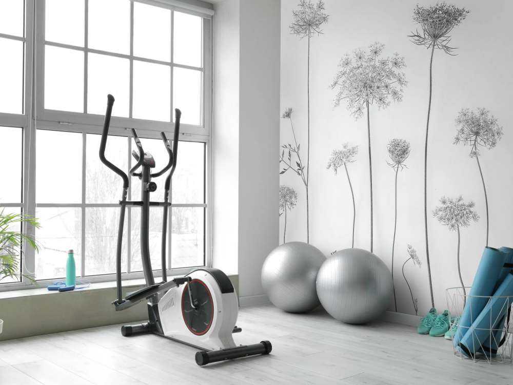 Ko persille i sort og hvid