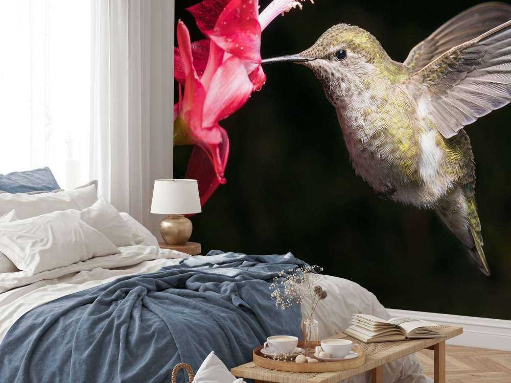 Kolibri med rød blomst