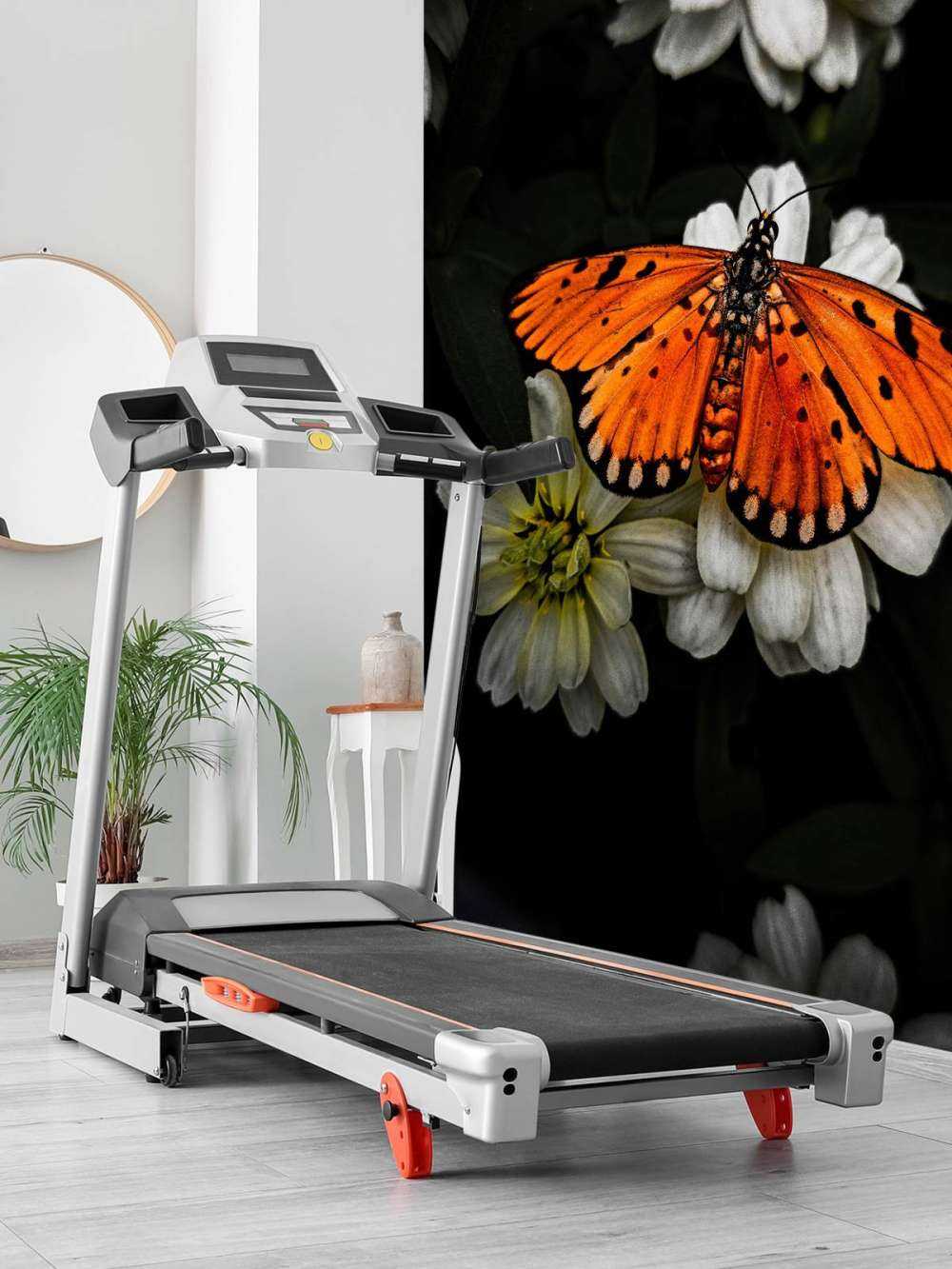 Monark-sommerfugl på en blomst