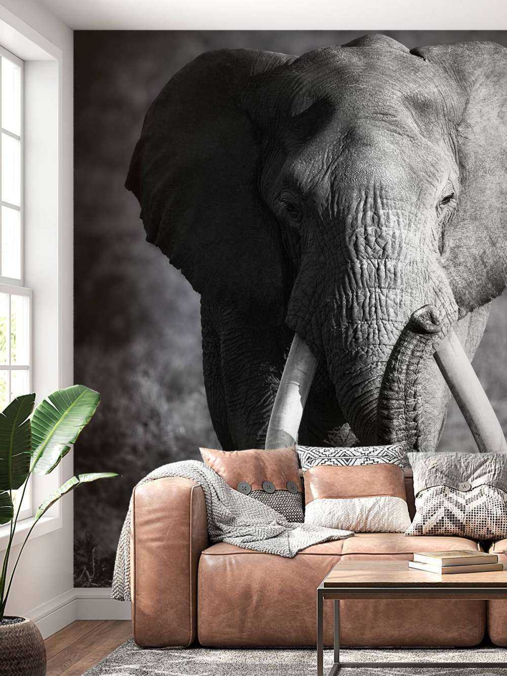 Afrikansk elefant