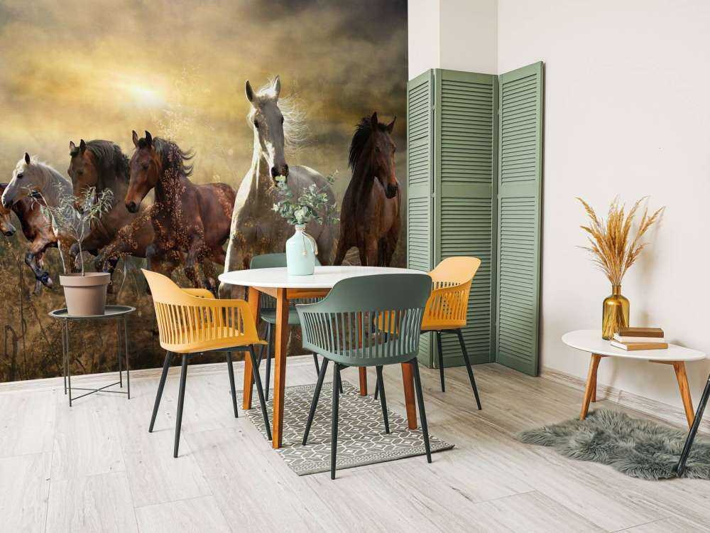 Galopperende heste ved solnedgang