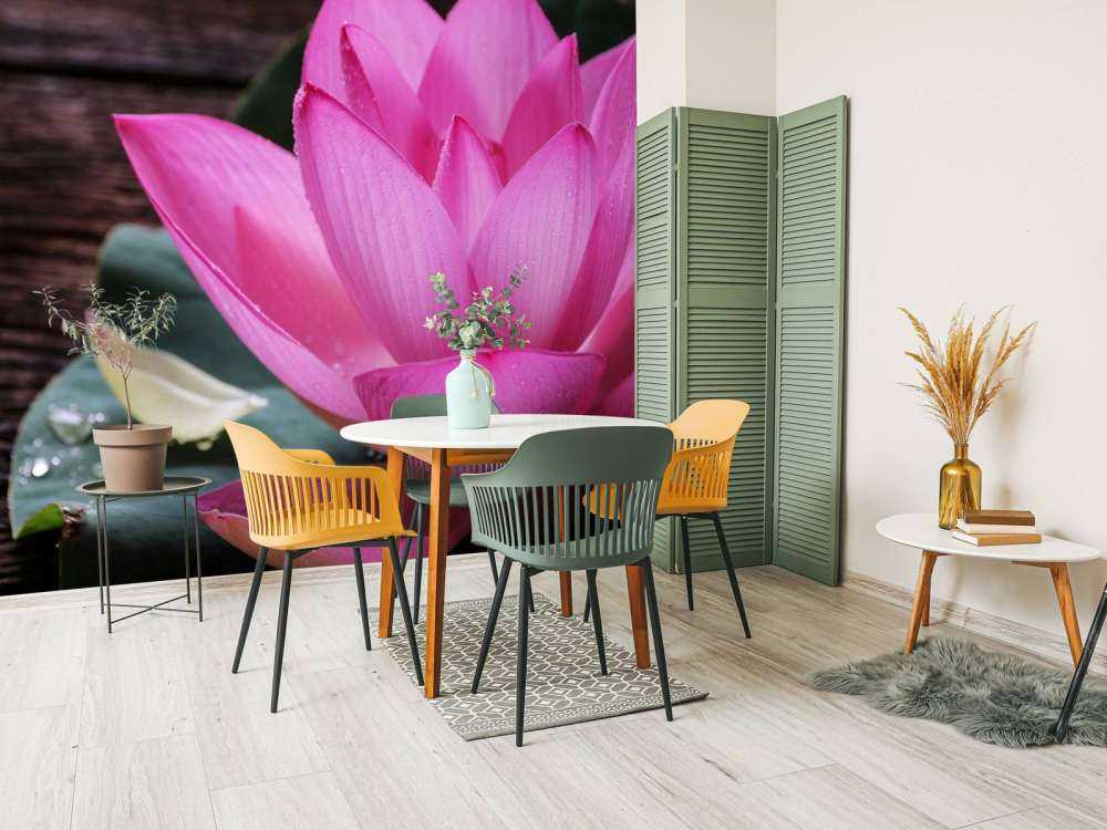 Nærbillede lyserød lotus