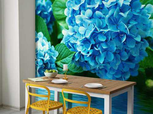 Hortensia i vatten