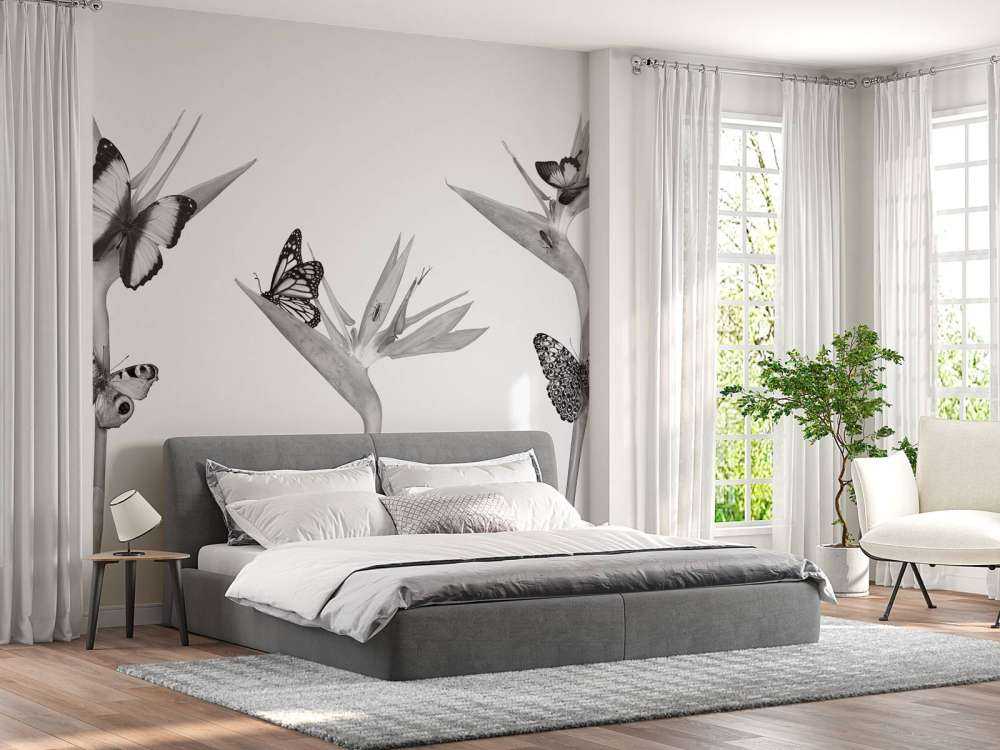 Fjärilar på paradisfågelblommor