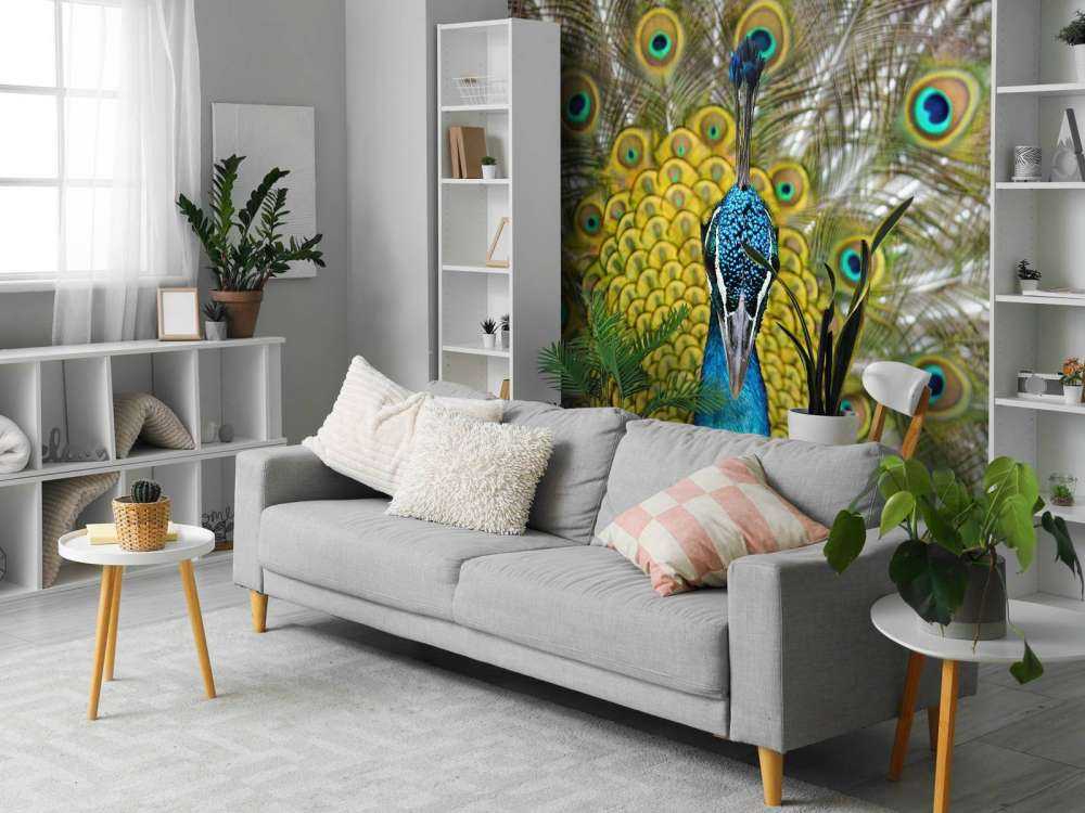 Framsida av en påfågel