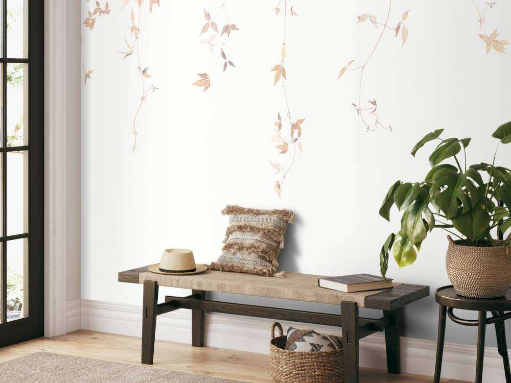 Ljus klematis vinstock