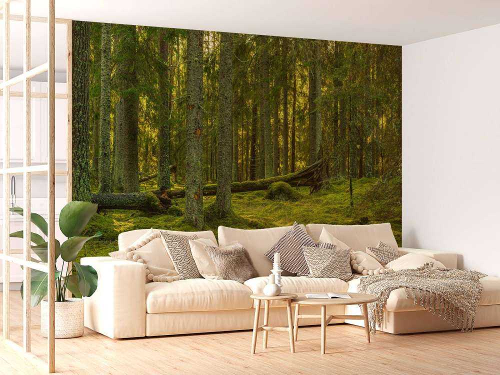 Grön tallskog