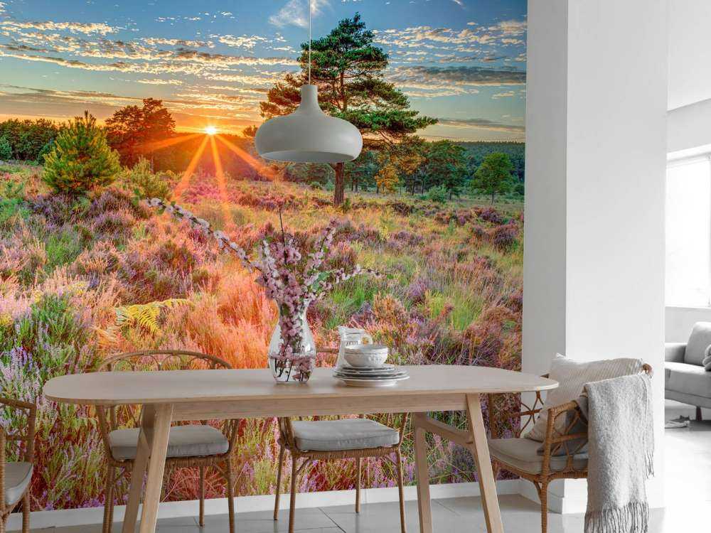 Solnedgång på landet