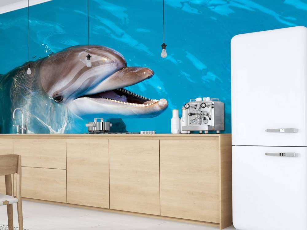 Vänlig delfin