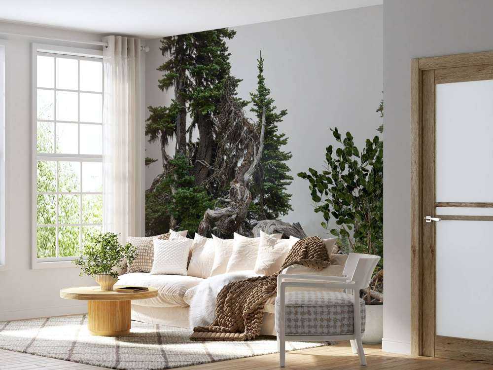 Träd och gamla träd