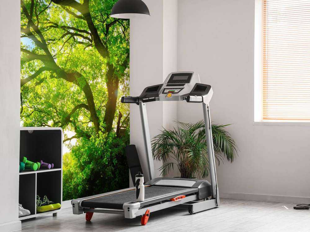 Träd med solstrålar