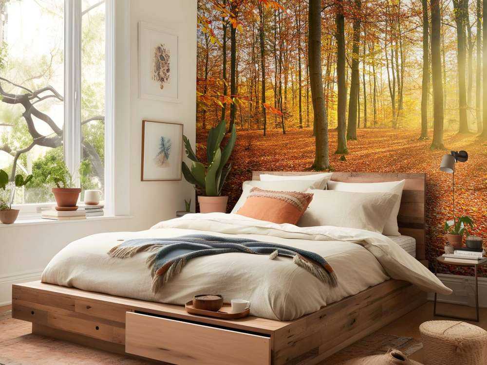 Höstmorgon i skogen