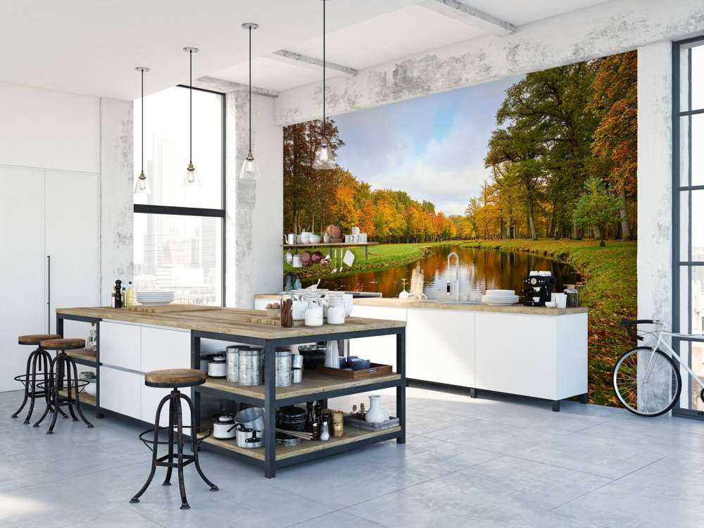 Skog på hösten