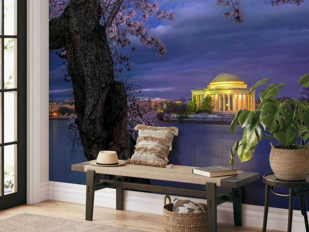 Cherry blossoms around the Jefferson Memorial