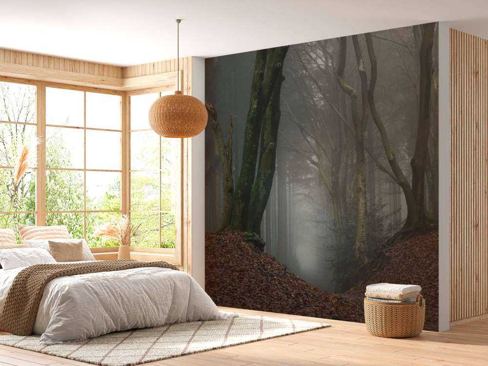 Väg genom mystisk skog