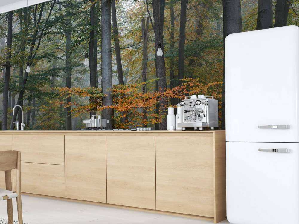 Höstfärger i dimmig skog