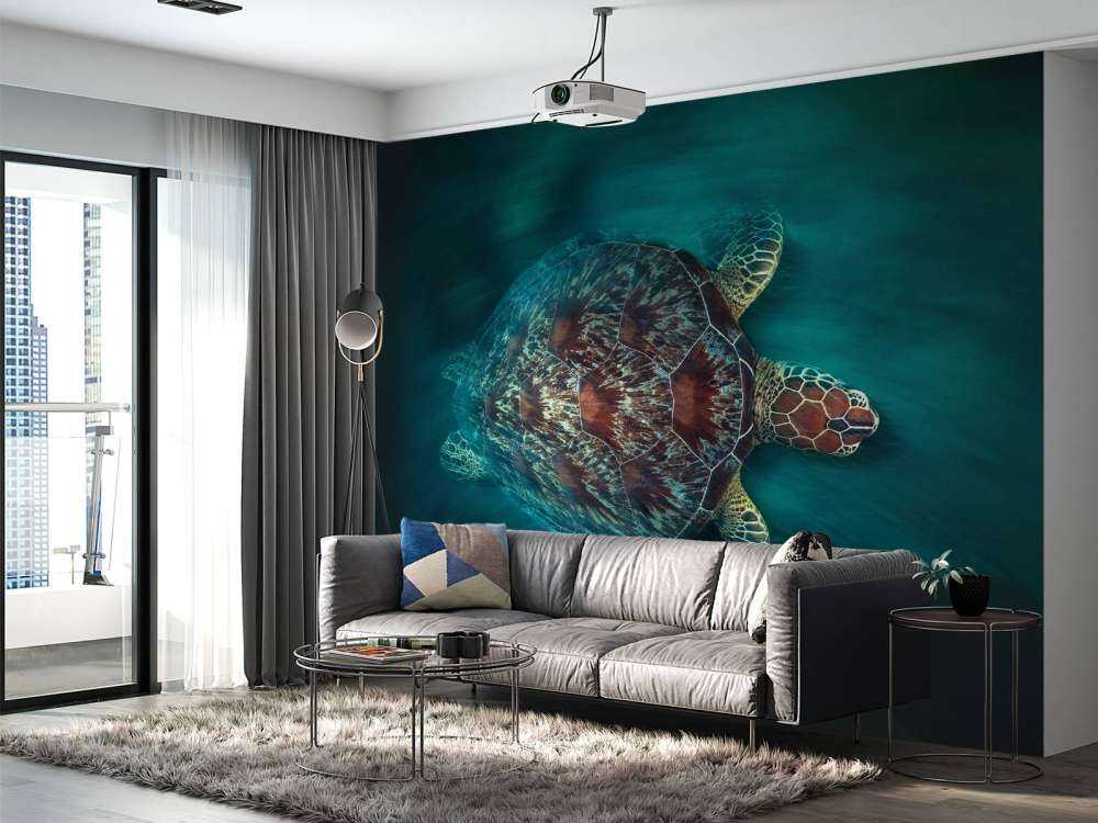 Vaclocity Turtle