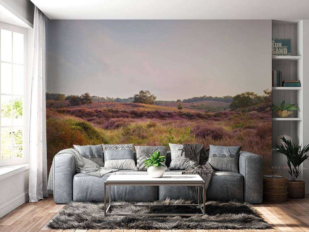 Hedmarker vid soluppgång