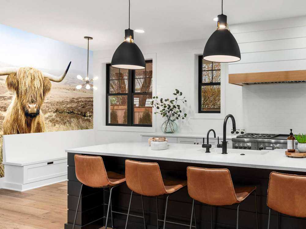 Skotsk hoglandare med vass