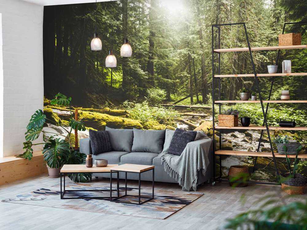 Vattenfall i en skog