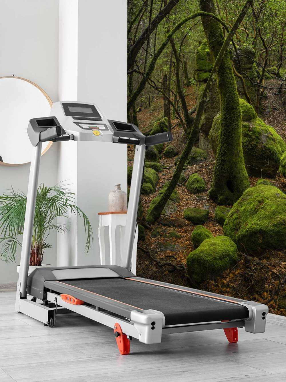 Träd och mossstenar