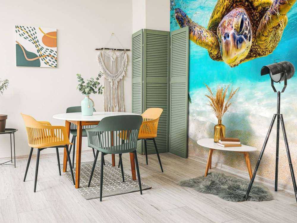 Havssköldpadda i havet