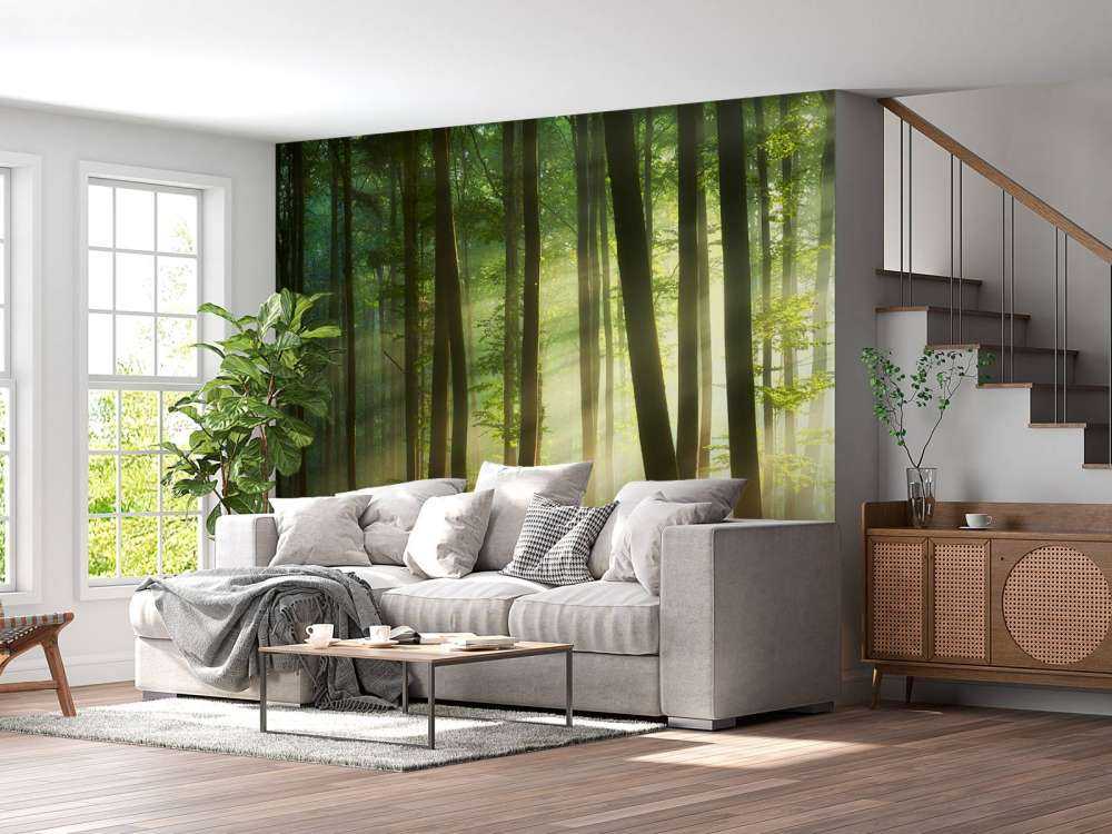 Morgonsol blockerar träden