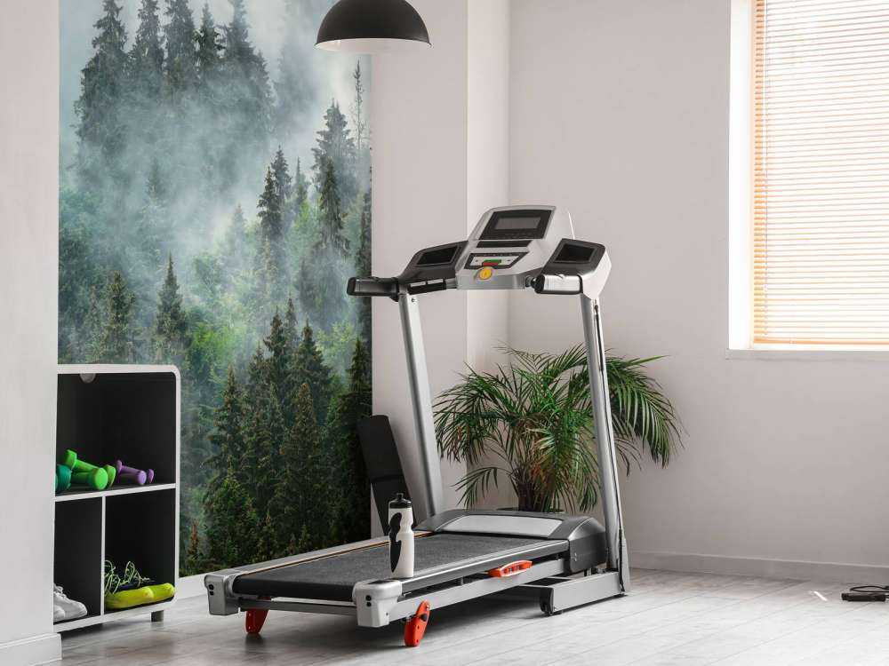 Dimmigt landskap med gröna träd