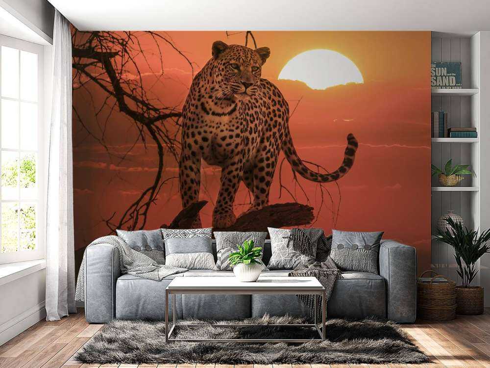 Leopard med solnedgång
