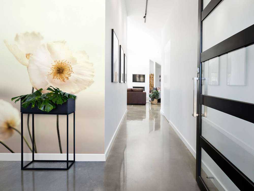 Närbild för vallmo