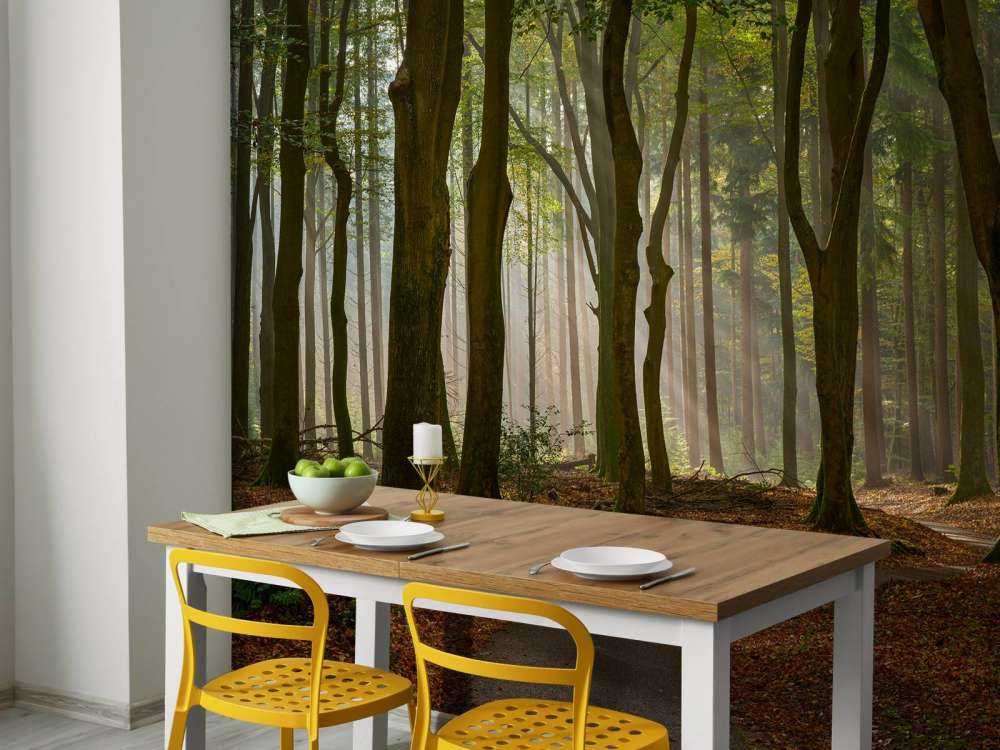 Solstråler på sti gjennom skogen