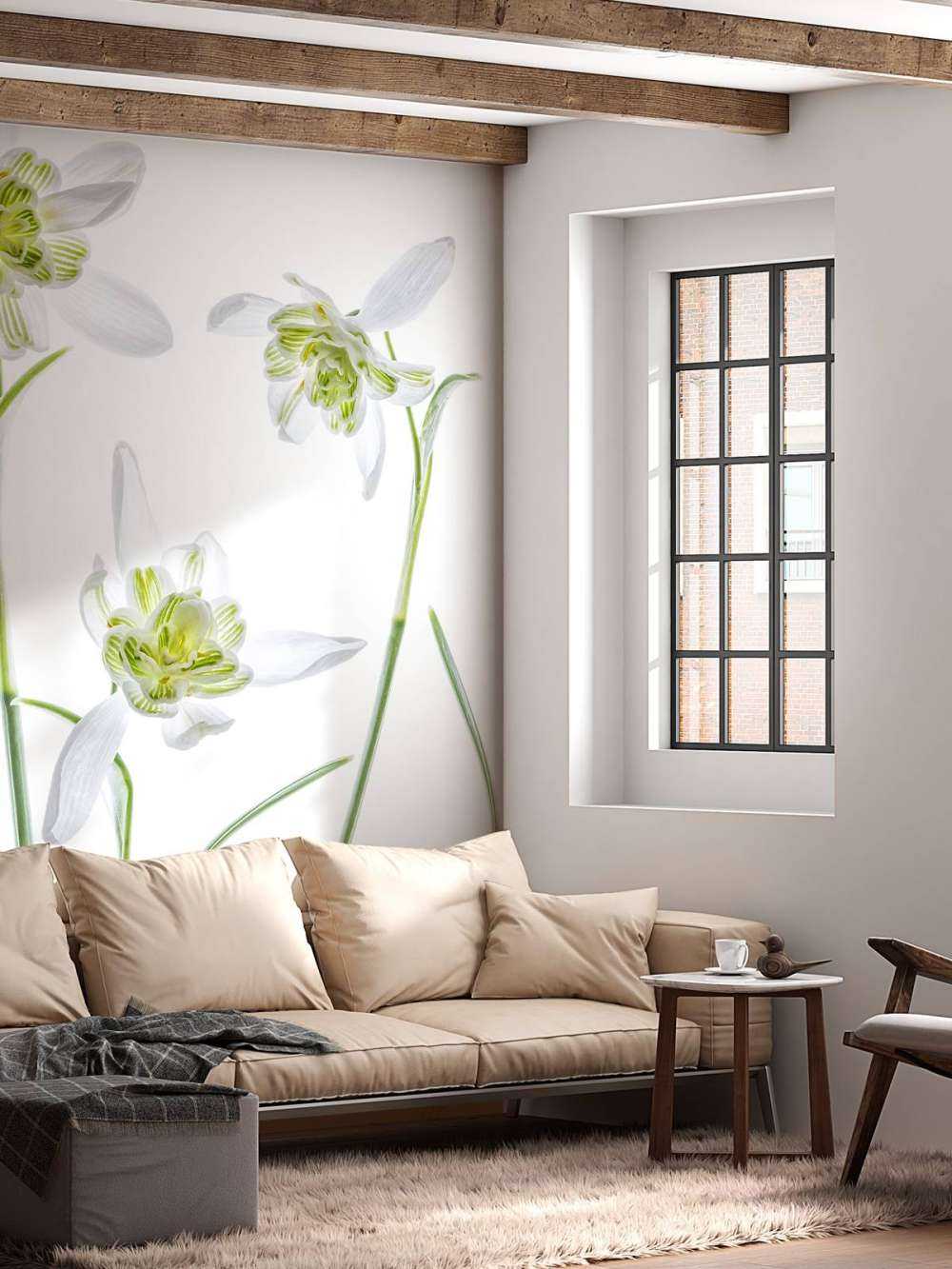 Galanthus Flore Pleno