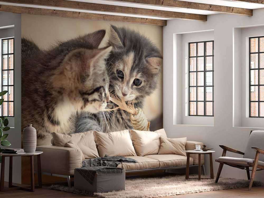Leker kattunger