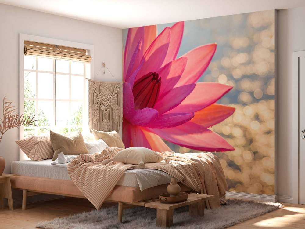 Lotusblomst på vann