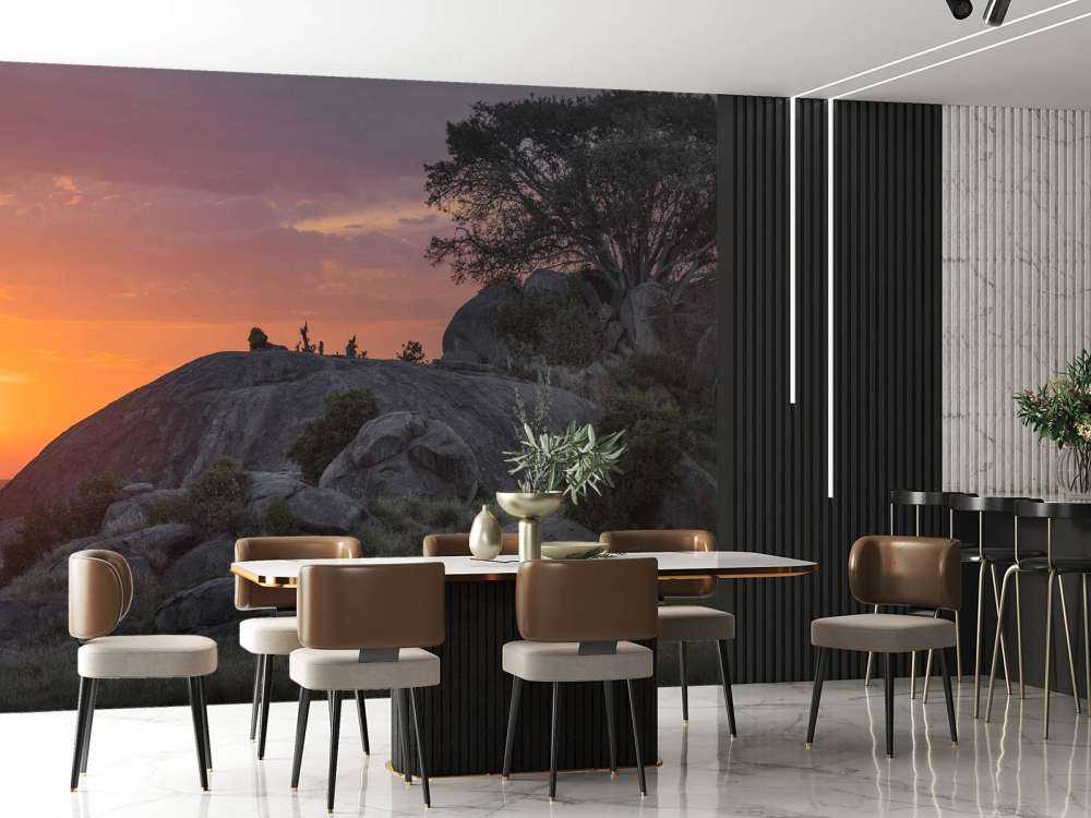 solnedgang over savannen