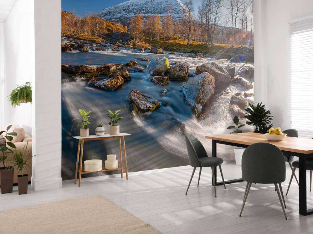Fjellelv