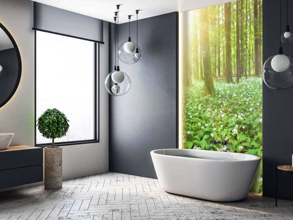 Vill skog ved soloppgang