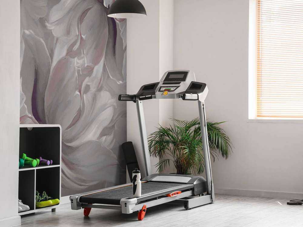 Store tulipaner grå