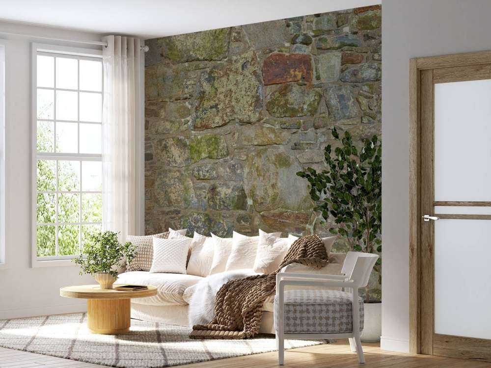 Gammel vegg med mose