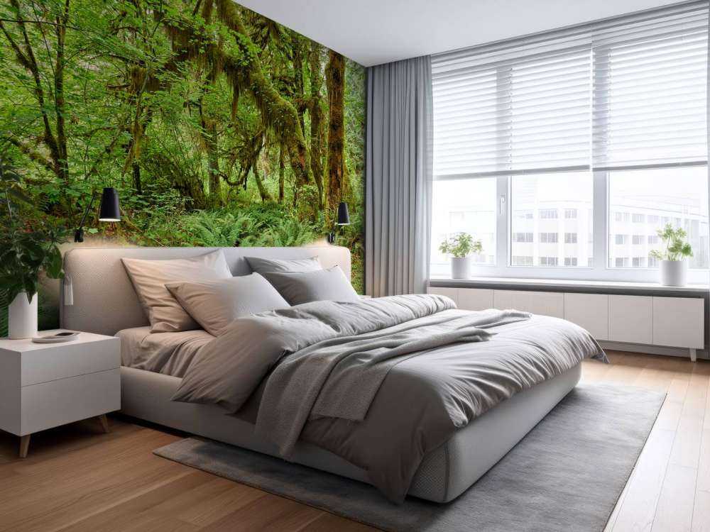 Bregner i en gammel skog