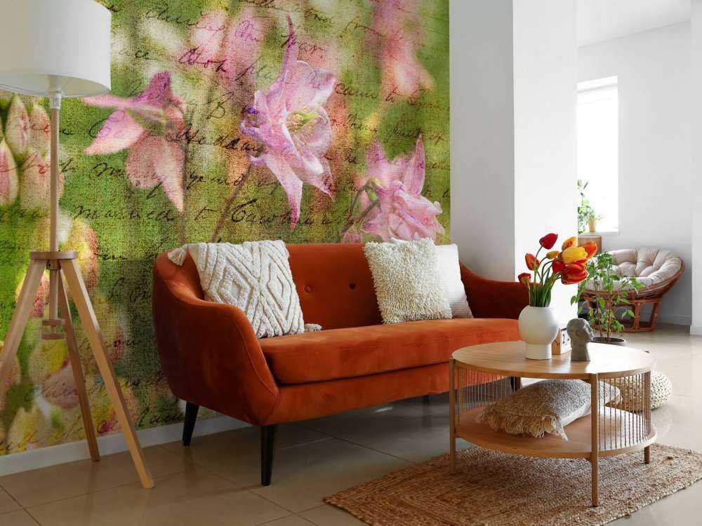 Colorful Aquilegia flowers on plants in garden