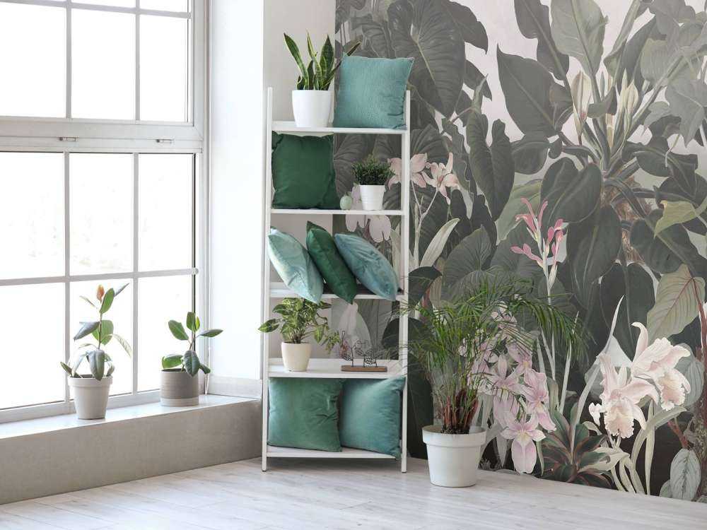 Walking to the Tropic 1