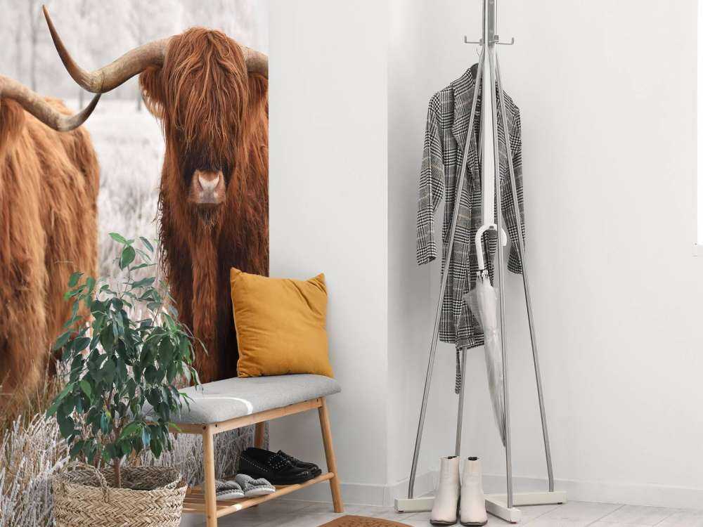 Vinter Høylandskveg