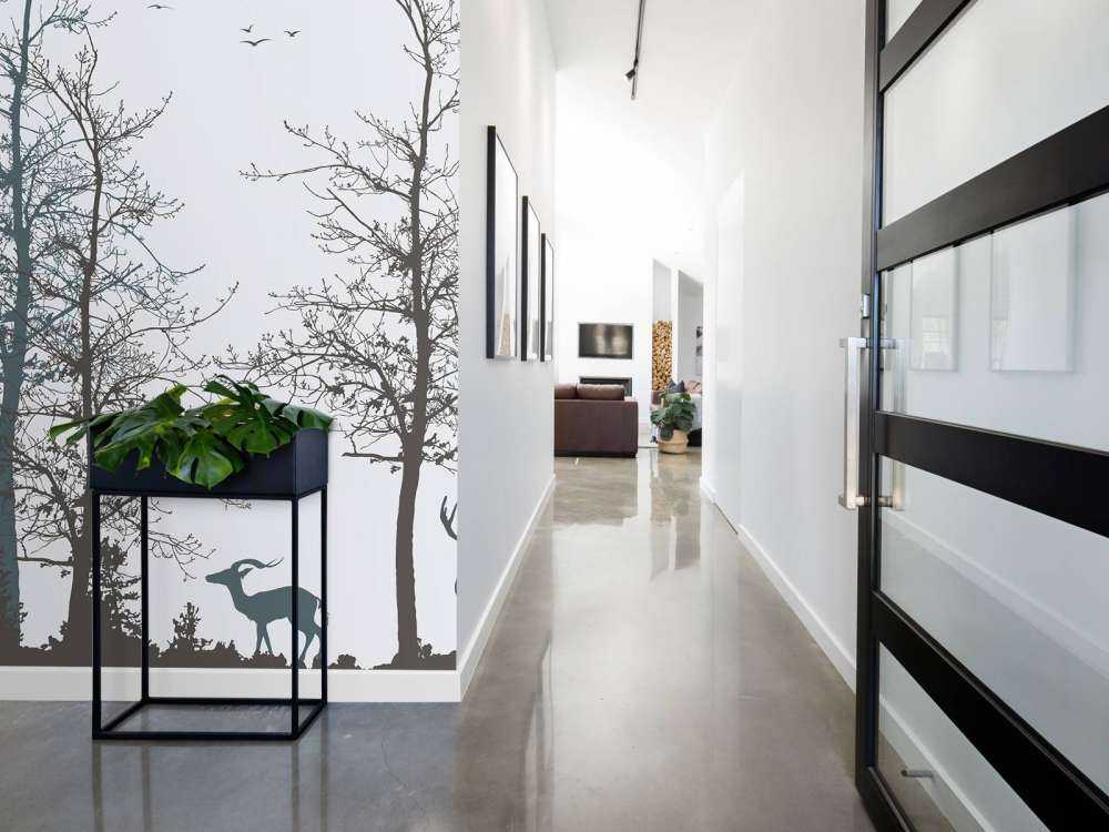 Vinterkontur Skogstillhet