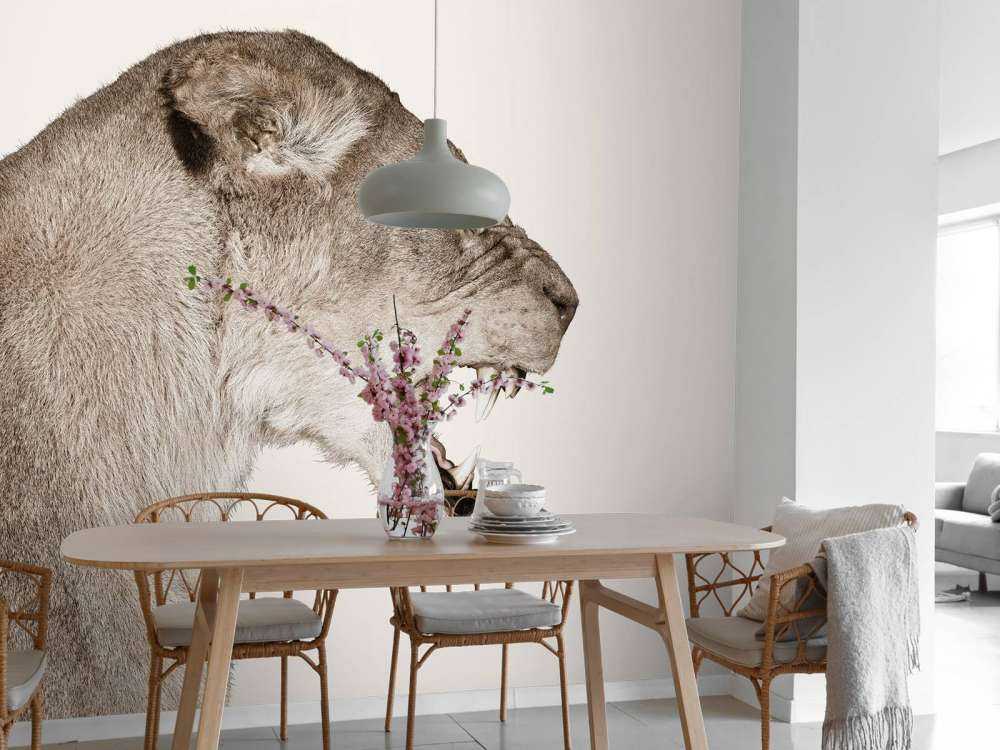 Løvinnen sett fra siden, offwhite