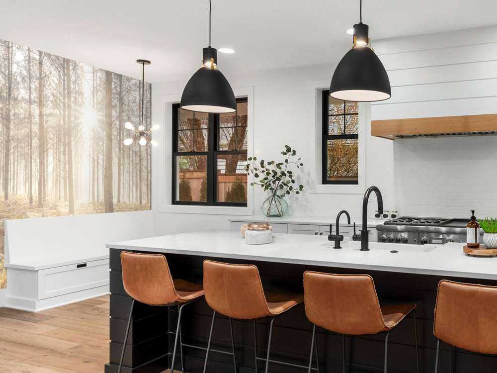 Solstråler i den kalde skogen